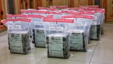 Photo of Incautan 675 paquetes de un polvo presumiblemente cocaína en San Pedro de Macorís