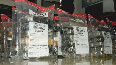 Photo of DNCD incauta cocaína en puerto de Haina