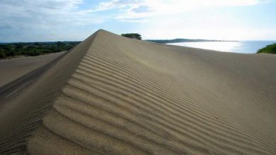 Photo of Medio Ambiente asegura presencia en el monumento natural Las Dunas de Las Calderas