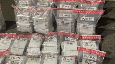 Photo of La DNCD Incauta 22 kilos de cocaína en el Puerto Haina