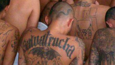 Photo of En redada policial 116 personas vinculadas a banda «salvatruchas» en Nueva York