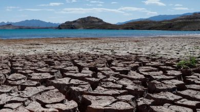 Photo of El 2023 será “el más caluroso” y “aumentará el compromiso climático”