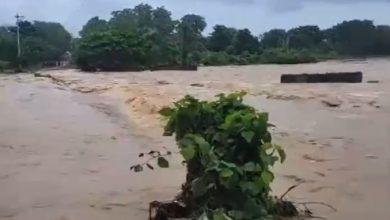 Photo of Meteorología; lluvias continuarán afectando el país este lunes
