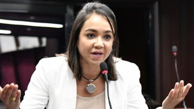 Photo of Faride Raful, nueva ministra de Interior y Policía