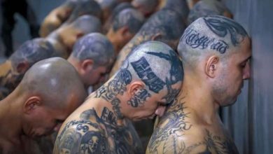 Photo of Fiscalía podrá procesar 2 mil de Salvatrucha
