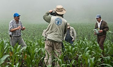 Photo of La FAO reconoce que es “un gran desafío” reducir la importación de alimentos en el Caribe