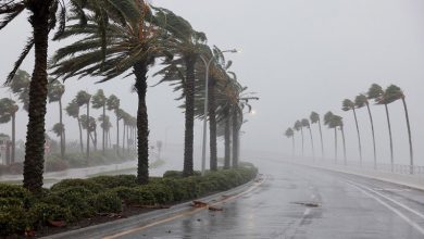 Photo of Helene sube a categoría 4 y produce inundaciones en Florida y apagones en sureste de EEUU