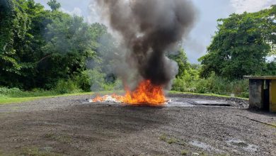Photo of Inacif quema más de 200 kilogramos de diferentes tipos de drogas