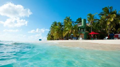 Photo of Varias islas del Caribe desaparecerán si sigue subiendo el nivel del mar, advierte la OEA