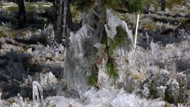 Photo of Temperaturas de hasta 9 grados en algunas zonas del país, informa Meteorología