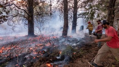 Photo of Los incendios en la Patagonia argentina no se detienen y afectan ya a más de 20.000 hectáreas