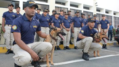 Photo of La DNCD integra 55 nuevos perros a la unidad canina