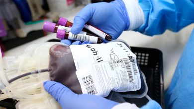 Photo of Hemocentro entregó 604 pintas de sangre a diversos hospitales