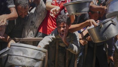 Photo of Nueve hijos de una doctora mueren en ataques de Israel en Gaza