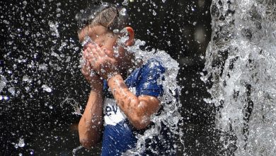 Photo of Ola de calor causa 480 muertes en Francia