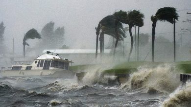 Photo of Se forma la tormenta tropical Fernand en el Atlántico