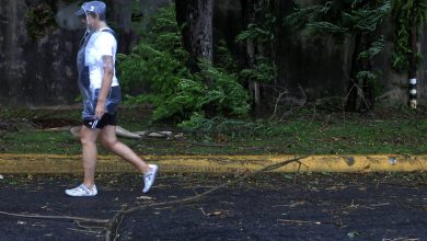 Photo of El huracán Erin “no tuvo un impacto mayor” en Puerto Rico, según la gobernadora