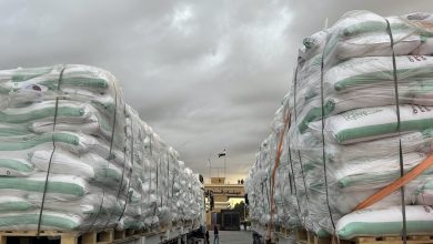 Photo of Empieza a entrar ayuda humanitaria a Gaza desde Egipto según el acuerdo de alto al fuego