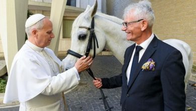 Photo of Regalan un caballo pura sangre árabe al papa León XIV