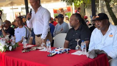 Photo of Academia Otro Nivel puso en marcha la Sexta Versión de su Copa Navideña de Béisbol 