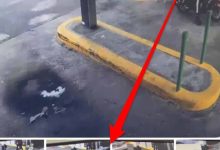 Photo of La Policía apresa hombre por agresión a vehículo de la actriz Luly Rocha