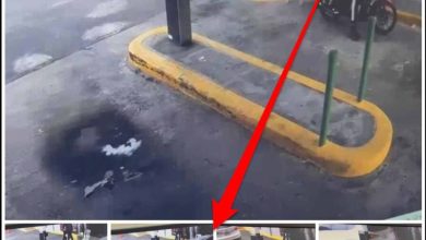 Photo of La Policía apresa hombre por agresión a vehículo de la actriz Luly Rocha