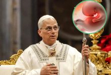 Photo of León XIV: un médico no debería permitirse decidir sobre la vida de un embrión o un anciano