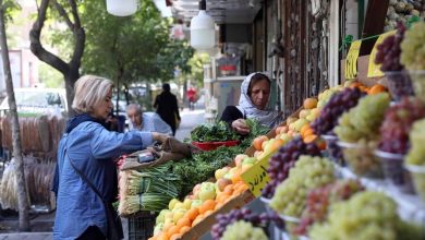 Photo of Irán minimiza el desplome del rial ante el «Día D económico» de EE. UU.