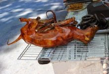 Photo of Corea del Sur vive su último verano de sopa de carne de perro antes de la prohibición