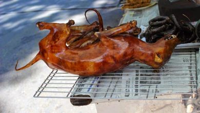Photo of Corea del Sur vive su último verano de sopa de carne de perro antes de la prohibición