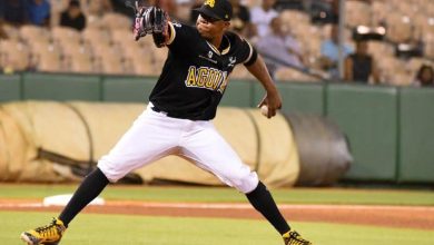 Photo of Poder ejecutivo dicta reglamento relativo a la supervisión y regulación del béisbol en la República Dominicana