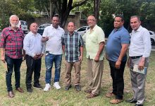 Photo of  Seis federaciones trazan estrategia de cara a elecciones del Comité Olímpico Dominicano